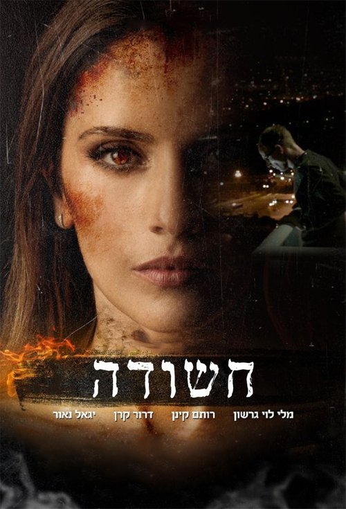 Suspect tv show poster