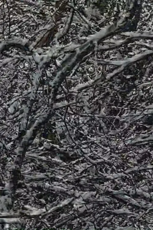 A Full Life movie poster