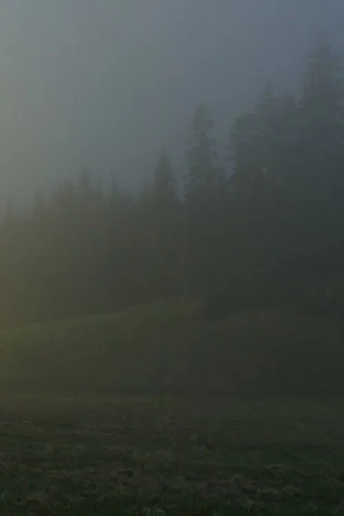 In A Beautiful And Quiet Location movie poster