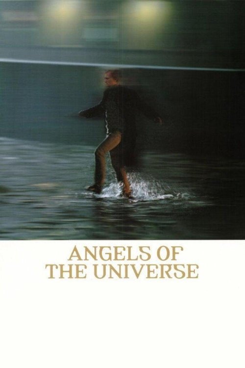 Angels of the Universe movie poster