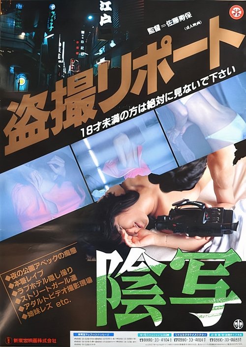 Turtle Vision movie poster