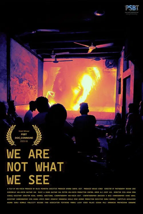 We Are Not What We See movie poster