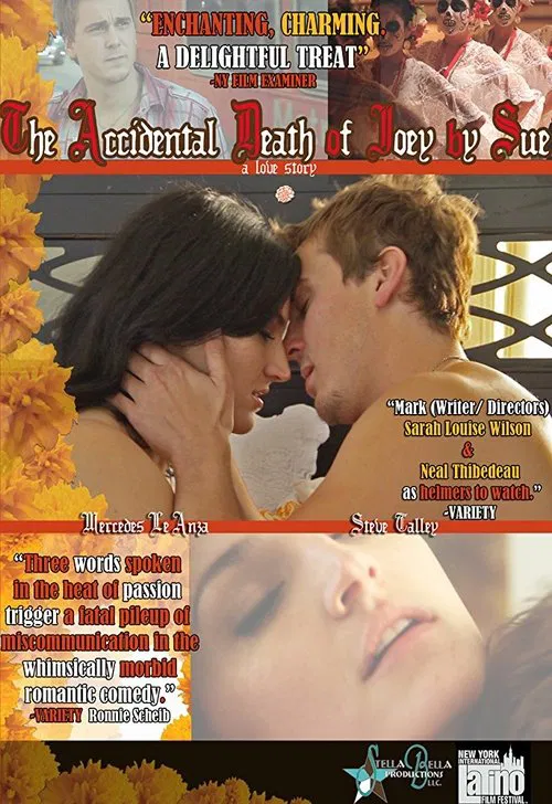 Poster do filme The Accidental Death of Joey by Sue