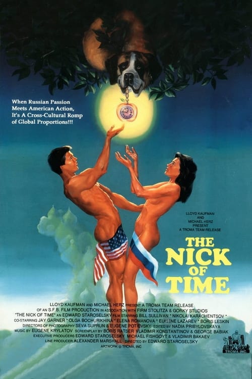 The Nick Of Time movie poster