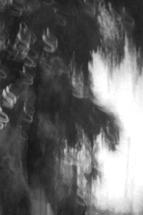 Árbol de la Noche Victoriosa movie poster