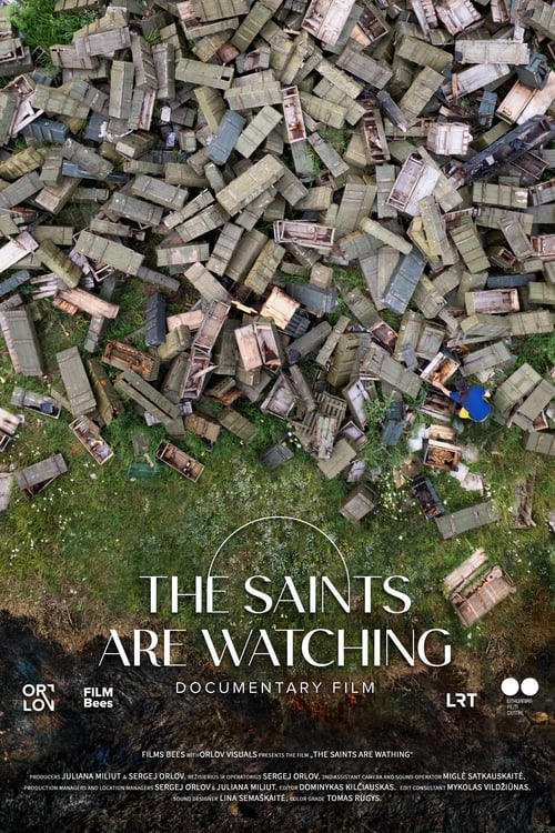 The Saints Are Watching movie poster