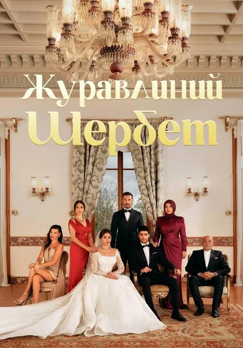 Cranberry Sorbet tv show poster