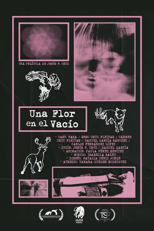 Una Flor en el Vacío movie poster