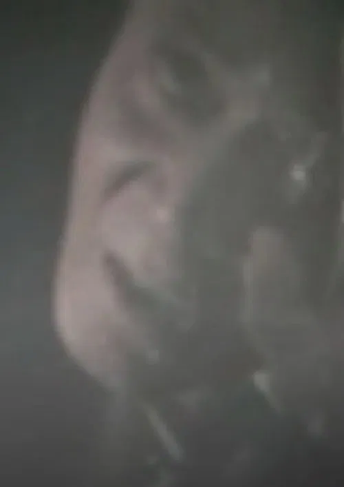 Poster do filme Self-Portrait