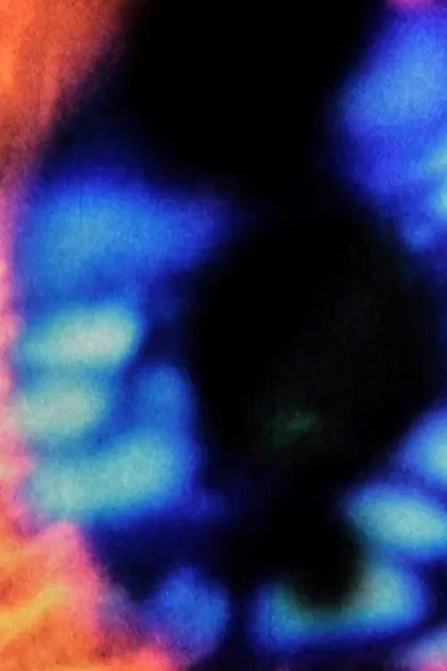 Poster do filme Girasoles