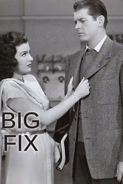 The Big Fix movie poster