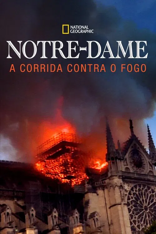 Poster do filme Notre Dame: A Corrida Contra o Fogo