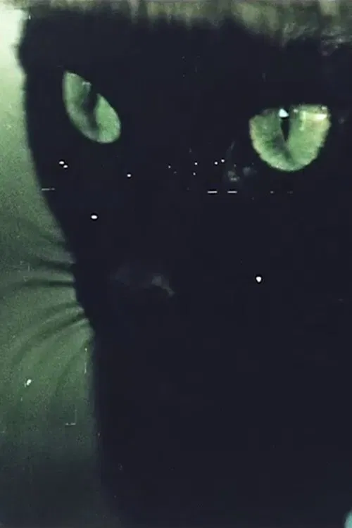 Home Movie movie poster