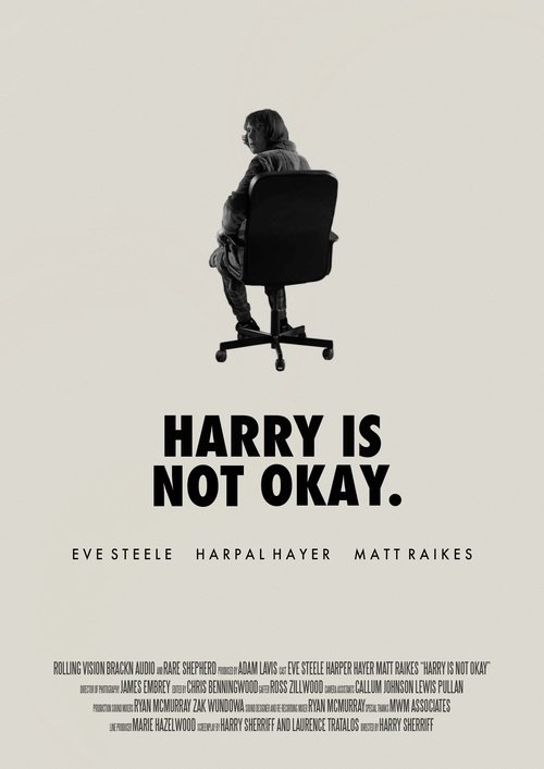 Harry Is Not Okay movie poster