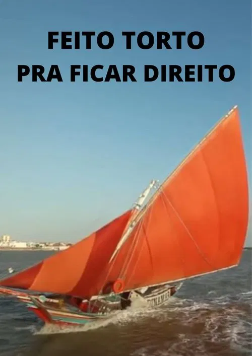 Feito Torto pra Ficar Direito movie poster
