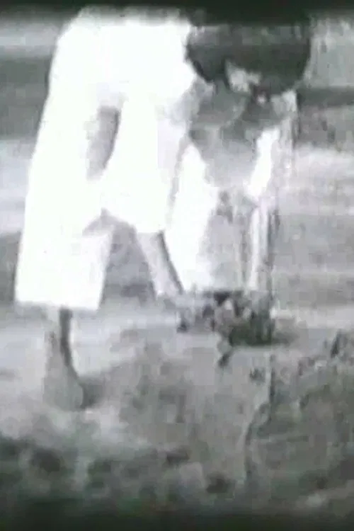 Pământul movie poster