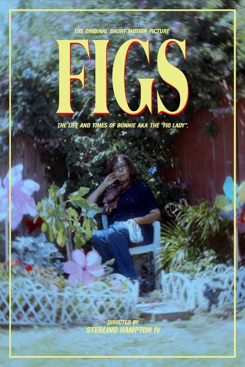 Figs movie poster