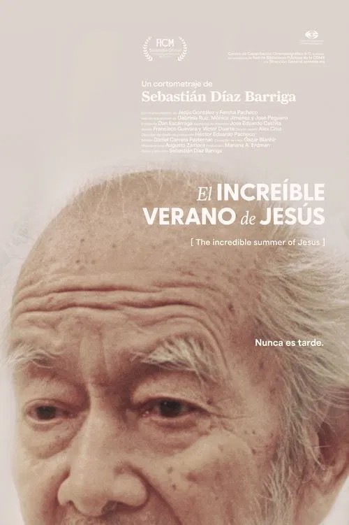 The incredible summer of Jesús movie poster