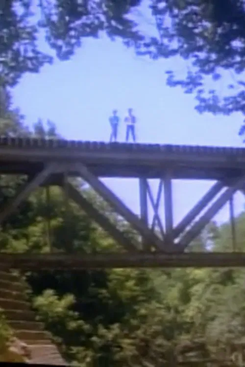 Has Anybody Seen Phil? movie poster