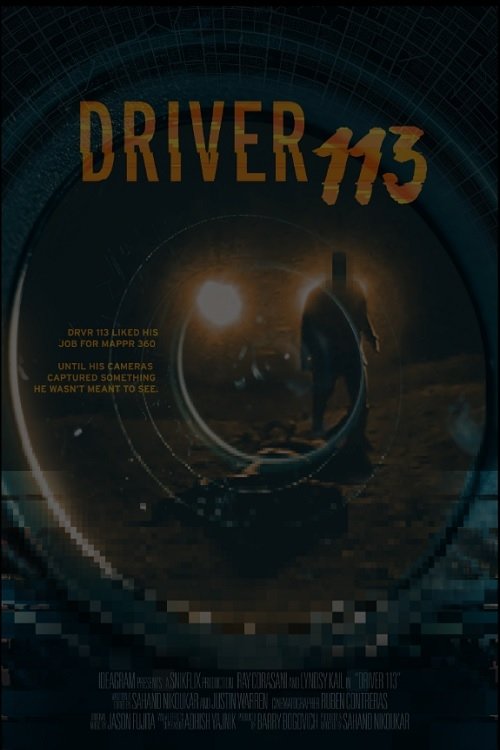 Driver 113 movie poster