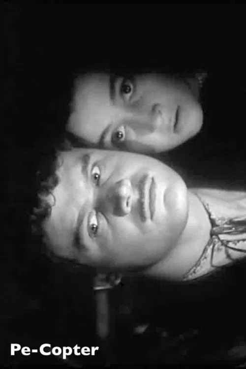 Pe-Copter movie poster