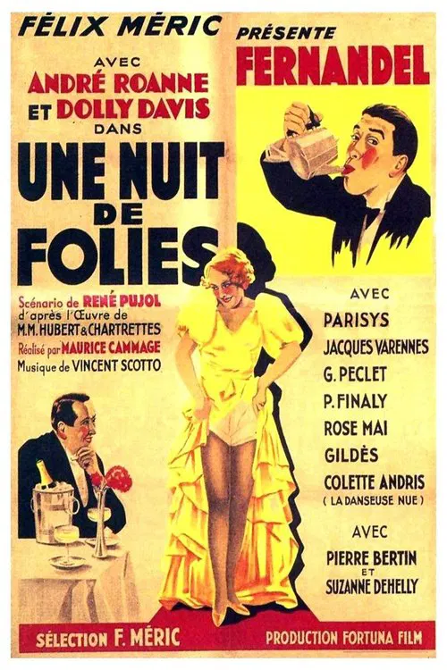 A Night of Madness movie poster