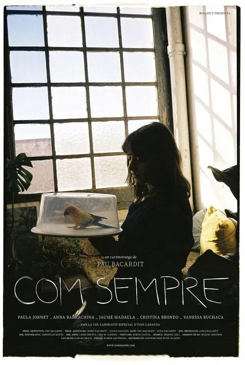 Com sempre movie poster