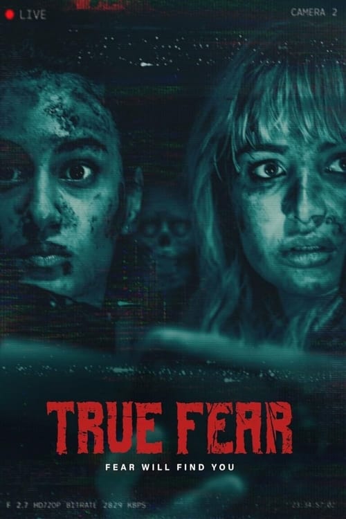 Poster do filme True Fear