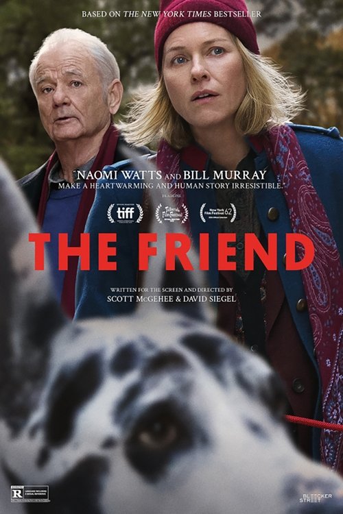 The Friend movie poster