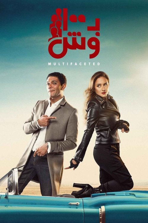 Multifaceted tv show poster