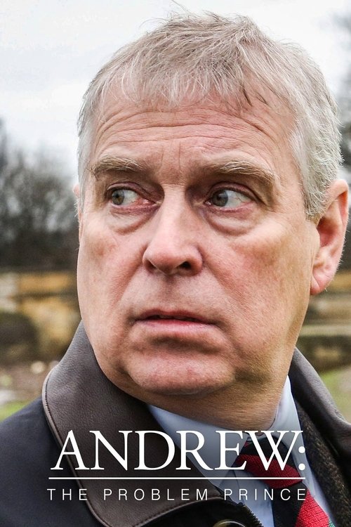 Andrew: The Problem Prince tv show poster