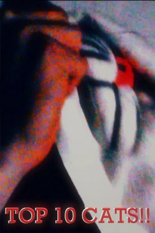 Top 10 Cats!! movie poster