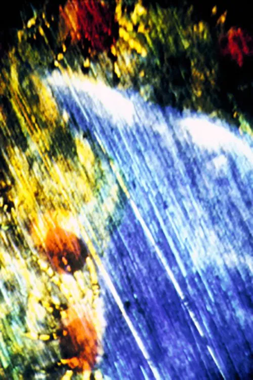 Poster do filme Unknown Woman