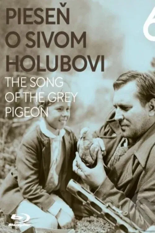 The Song of the Grey Pigeon movie poster