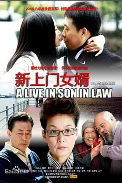 新上门女婿 tv show poster