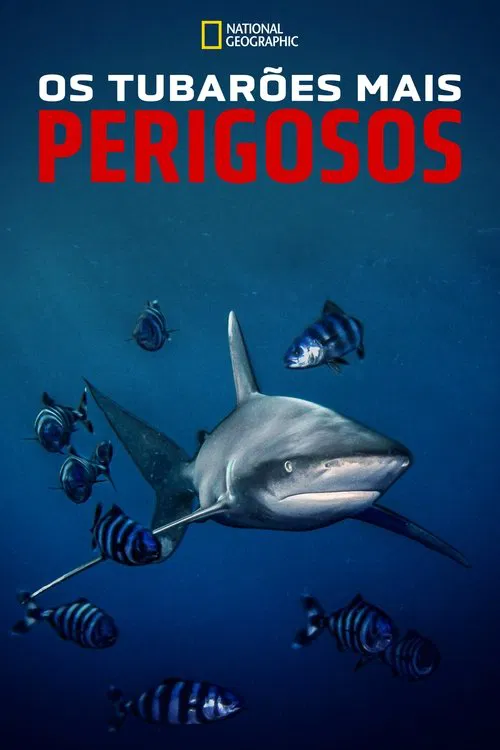 Poster do filme Os Tubarões Mais Perigosos