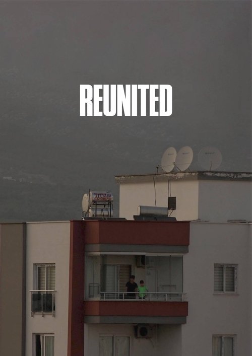 Reunited movie poster