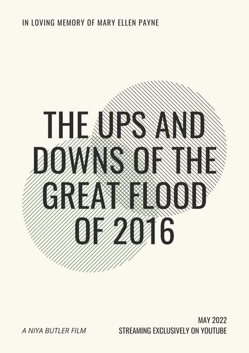 Poster do filme The Ups and Downs of the Great Flood of 2016