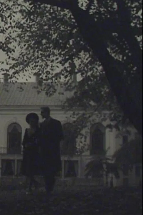 A Stockholm Silhouette movie poster