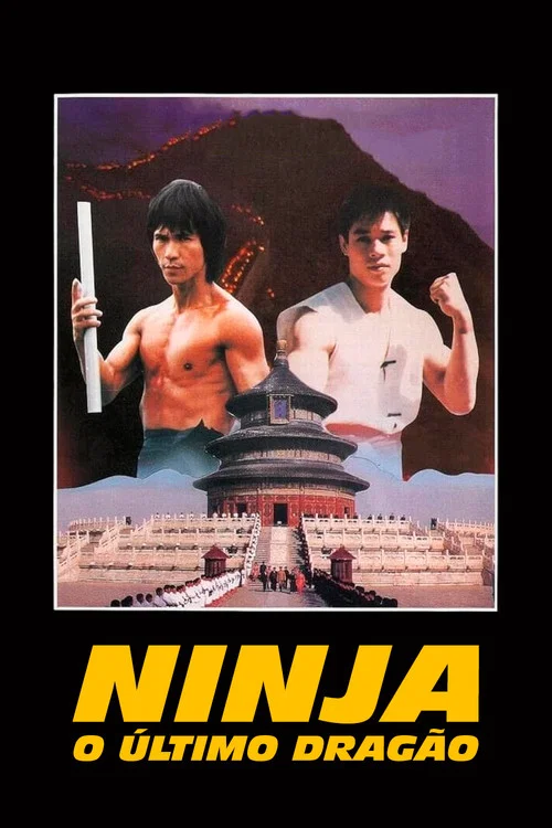 Poster do filme Ninja, o Último Dragão