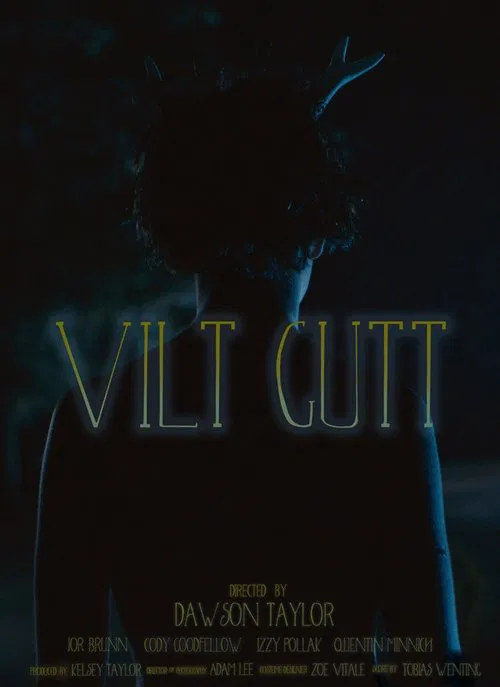 Poster do filme Vilt Gutt