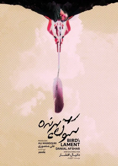 Poster do filme Bird's Lament