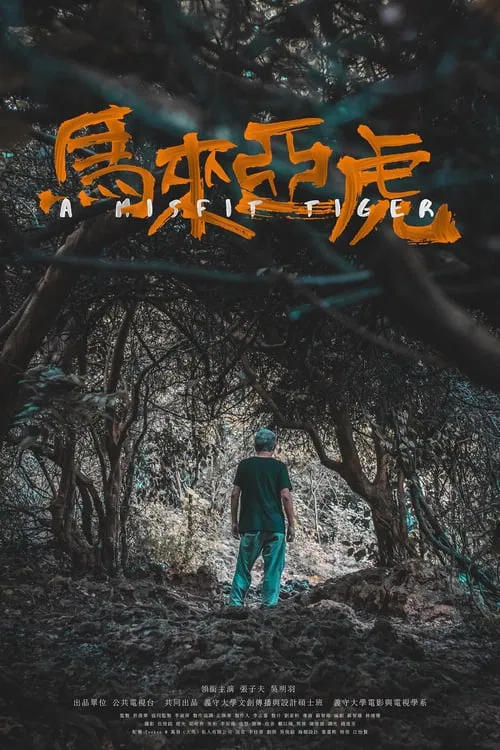 A Misfit Tiger movie poster