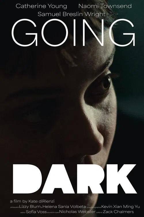 Poster do filme Going Dark