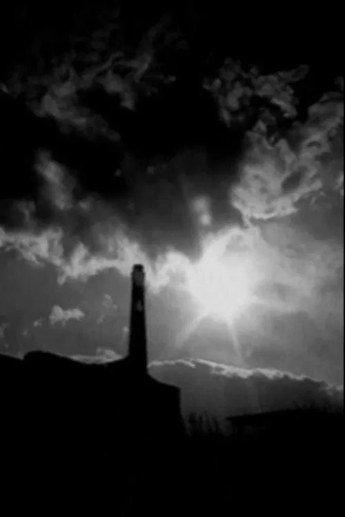 Enrico Ghezzi su Ciprì e Maresco movie poster