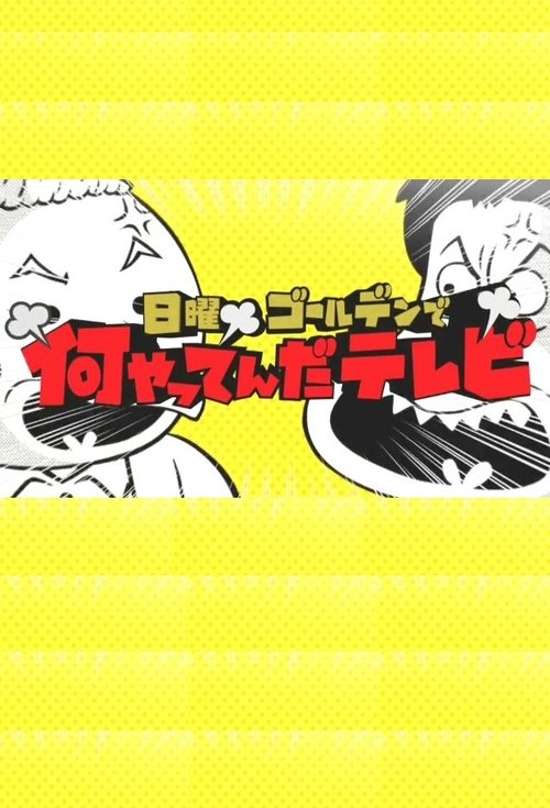 日曜ゴールデンで何やってんだテレビ tv show poster