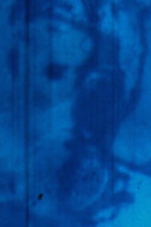 Rayures (Rayures, effacement / Disparition) movie poster