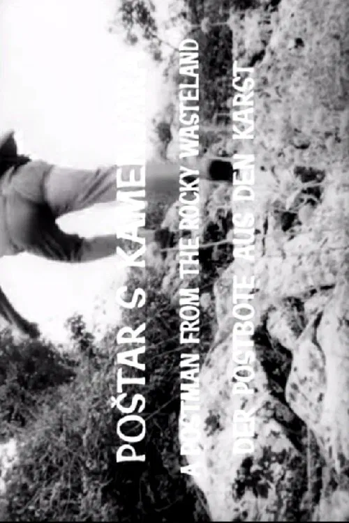 A Postman from the Rocky Wasteland movie poster