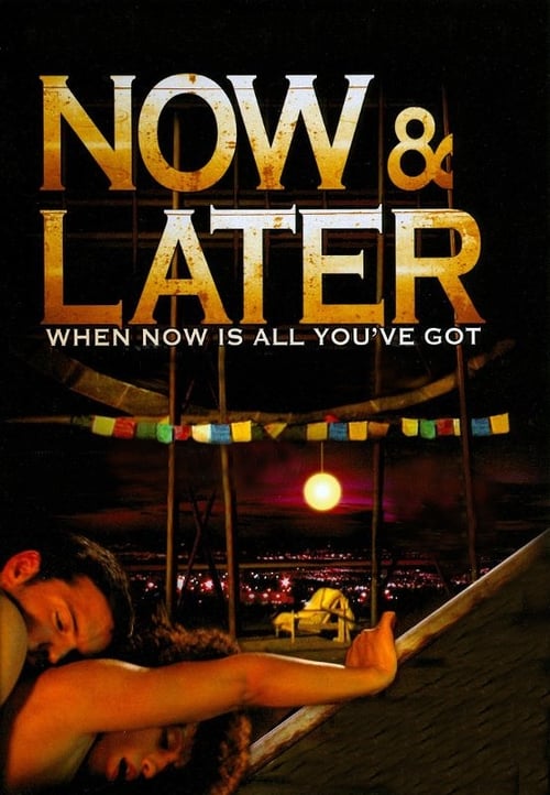 Now & Later movie poster