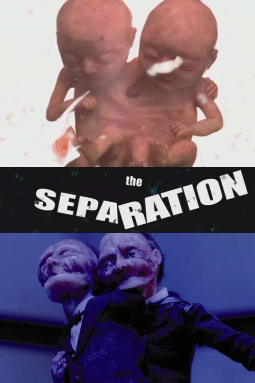 The Separation movie poster